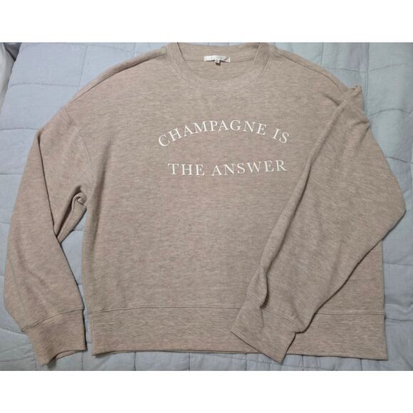 Z Supply Small Champagne is the Answer soft relaxed fit sweatshirt in Oatmeal - Picture 3 of 3